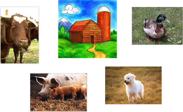 Photo: Scarf Dance Blues